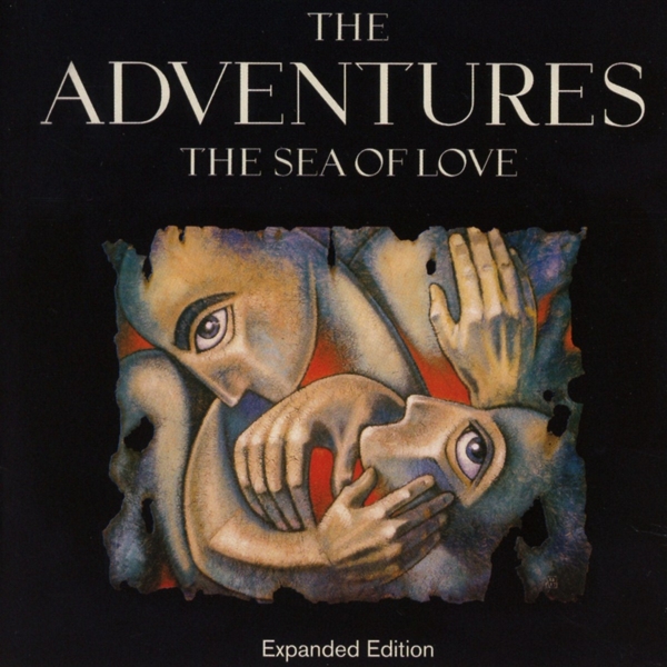 cover cover