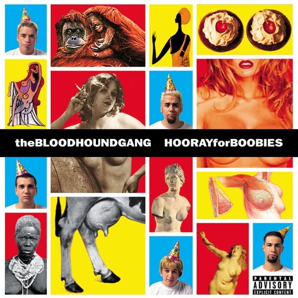 cover cover