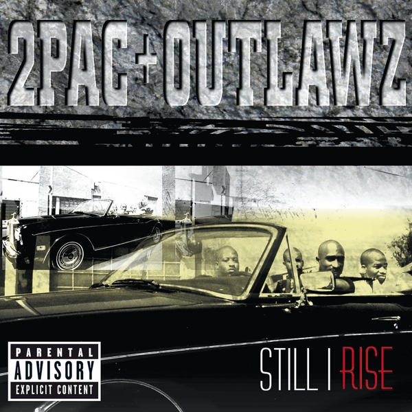 cover cover