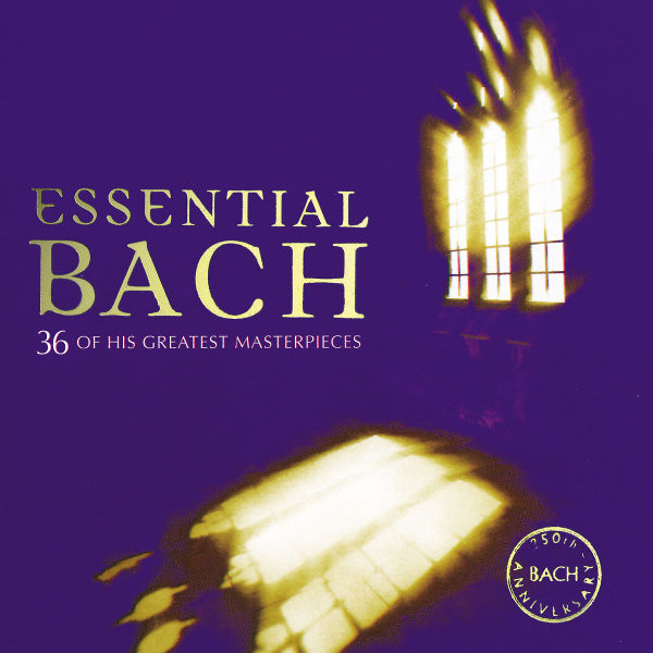 cover cover