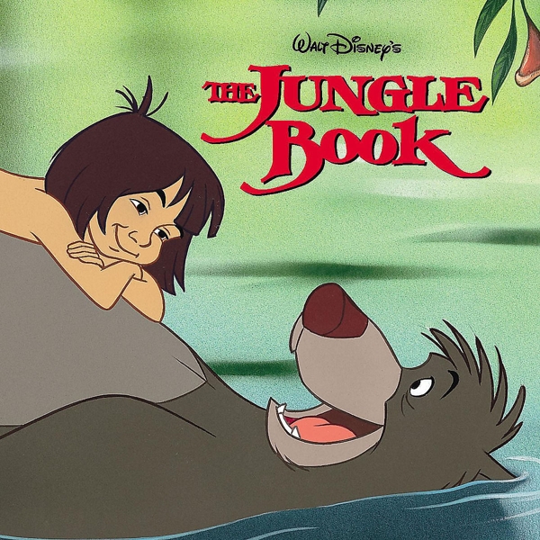 cover cover